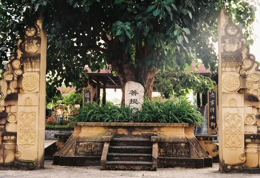 西南边境上的神秘潘多拉，比西双版纳还美，一不小心就出国