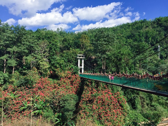 西双版纳三天两夜吃住行,云南西双版纳旅游景点攻略自由行