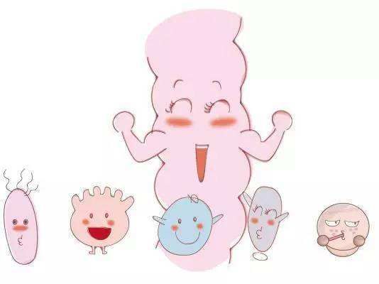 比较火的益生菌,益生菌为什么突然火了