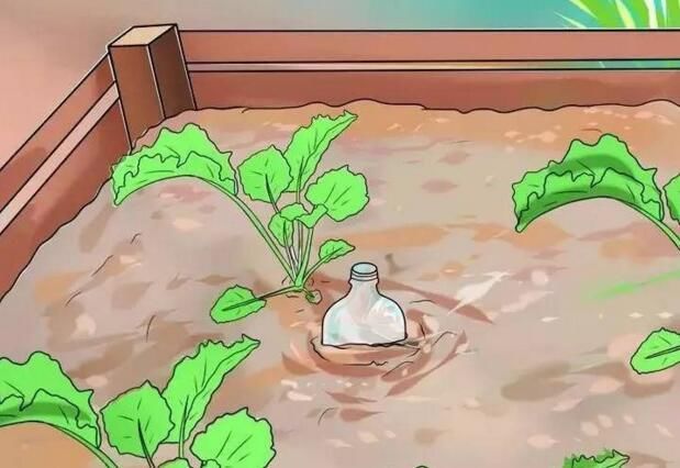 出差浇花神器会不会把水溢出,浇花神器假期出差自动浇水