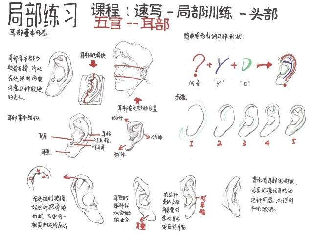 速写五官不会画？分步骤图解教你画，简单易学，适合0基础学习