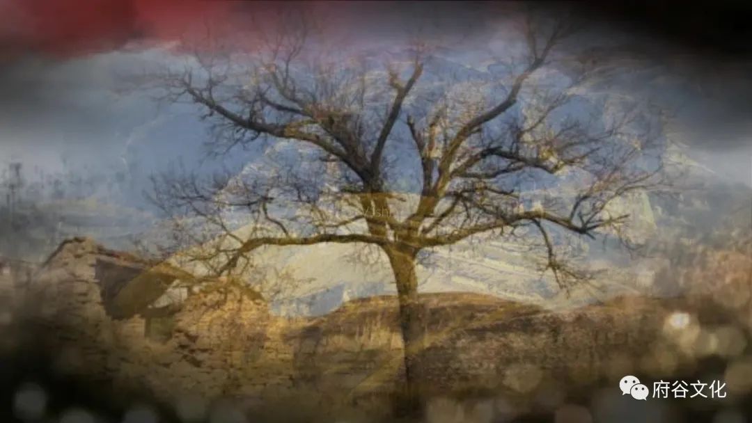 赵振清：龙的传人，龙骨情怀