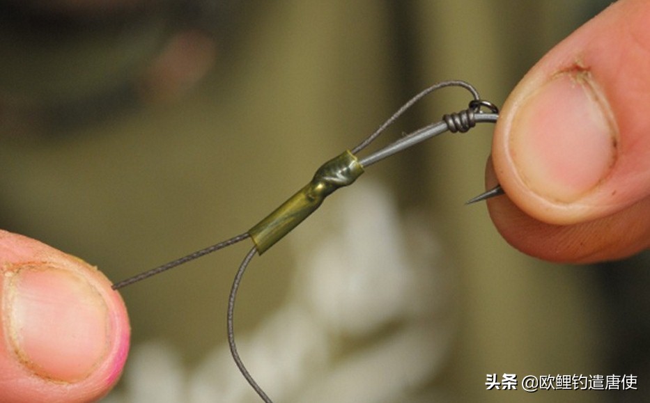 话说欧鲤钓最新消息,话说欧鲤钓鱼完整版