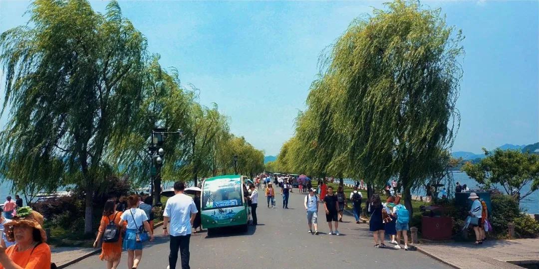 杭州西湖必游景点攻略大全图,杭州西湖新十景游玩顺序攻略