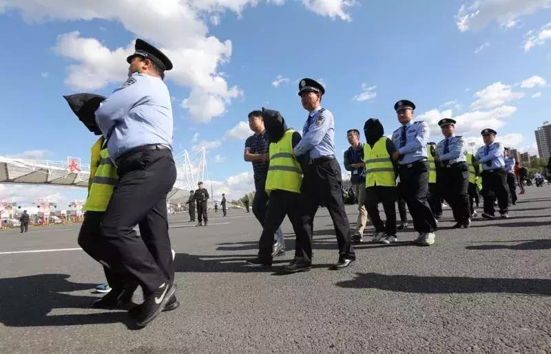 近期抓捕的网络彩票诈骗案,警方破获网络彩票诈骗案图片