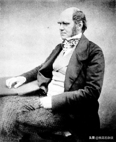 进化论真相大揭秘,为什么进化论越来越被质疑