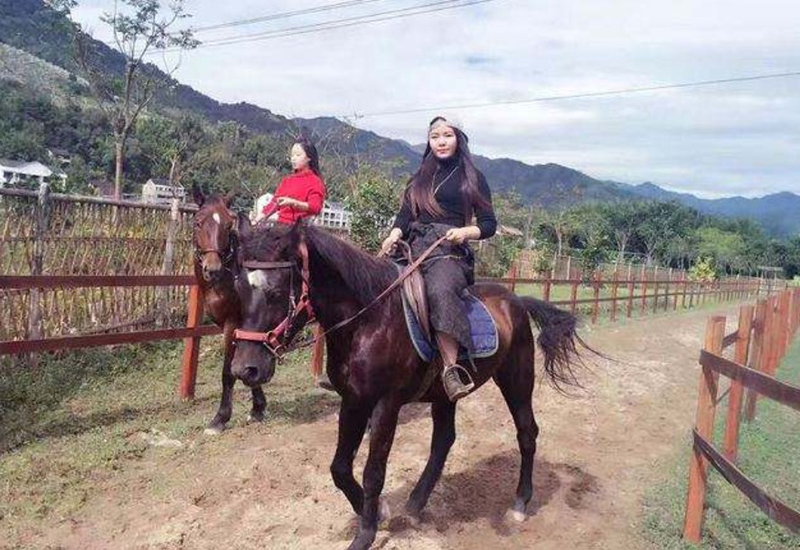 为什么骑马要先学马术,怎么骑马是贵族运动