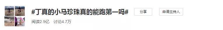 丁真的梦想是小马跑第一，为什么越简单的人设越圈粉？
