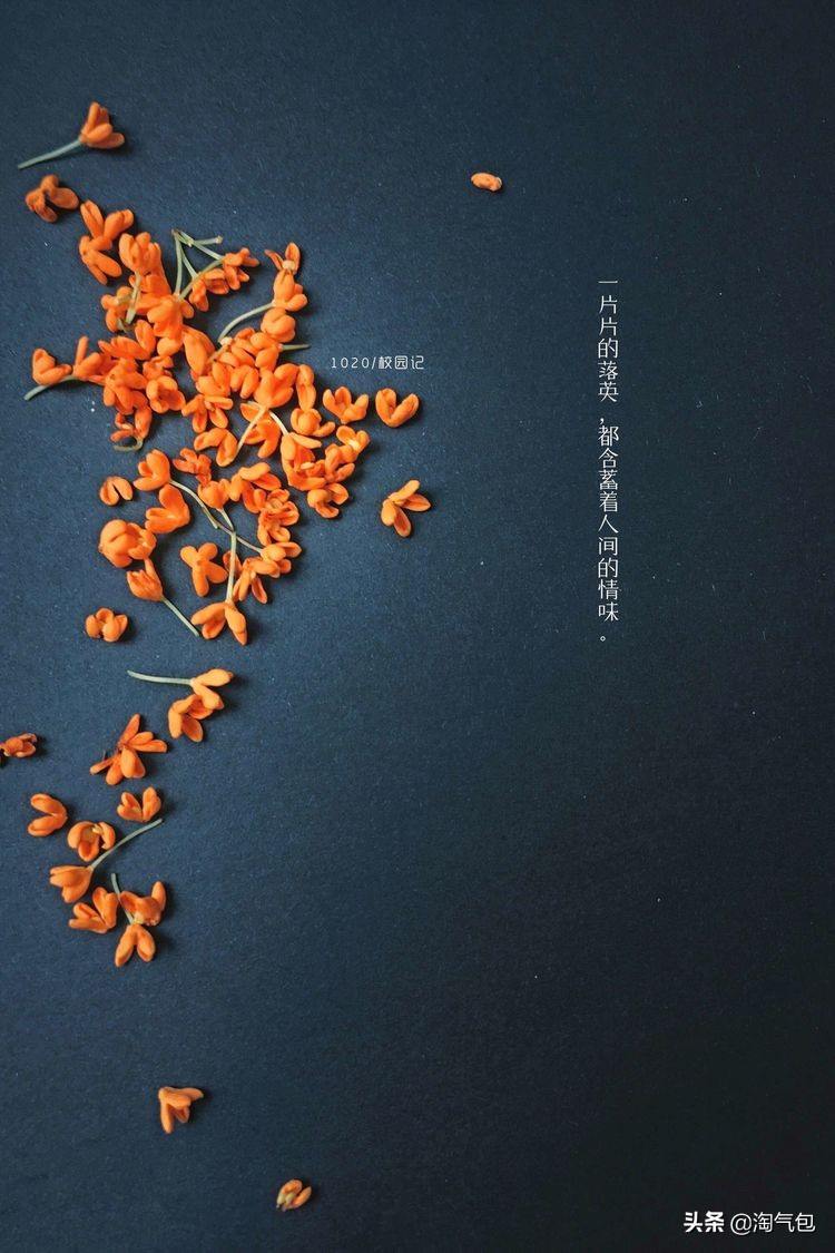 秋分一半热烈一半安详,秋分秋天分两半