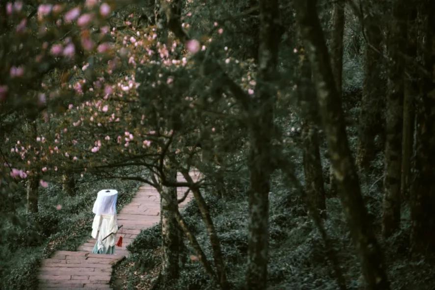 五一山顶云海露营攻略,云海悬崖旅游攻略