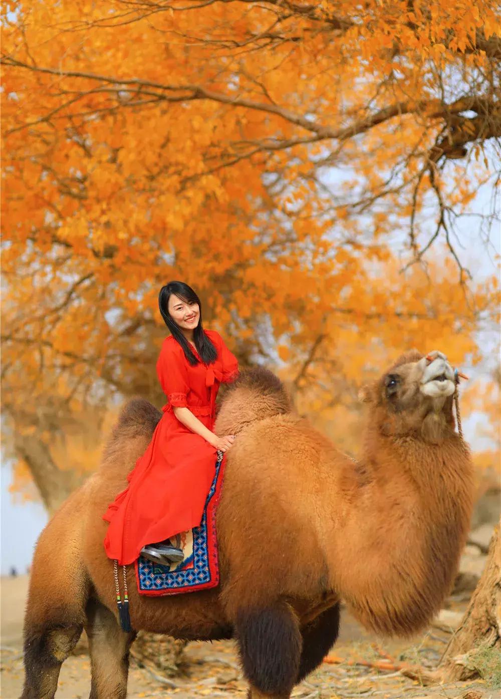 额济纳旅游自由行攻略,额济纳旗旅游最佳省钱攻略