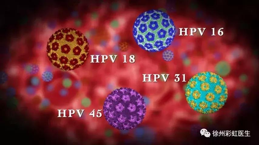 hpv疫苗到底怎么选择,关于hpv疫苗方面的知识