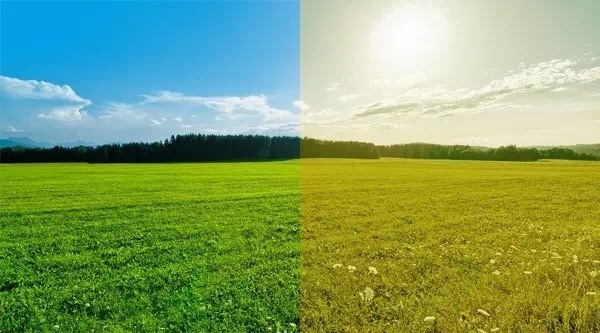 色盲悖论是什么，如何解释才能不留BUG？带你深入认识色盲