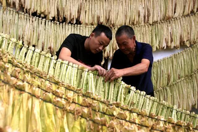 一个月21个县长开直播,疫情中的“新基层”