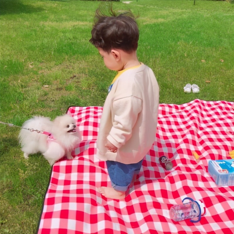 男孩小名大全2020属鼠乳名特别的,小名活泼可爱男孩