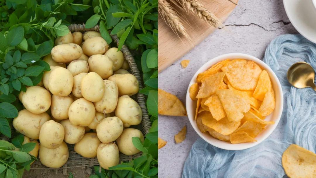 小孩爱吃的膨化食品,膨化食品宝宝都不能吃吗