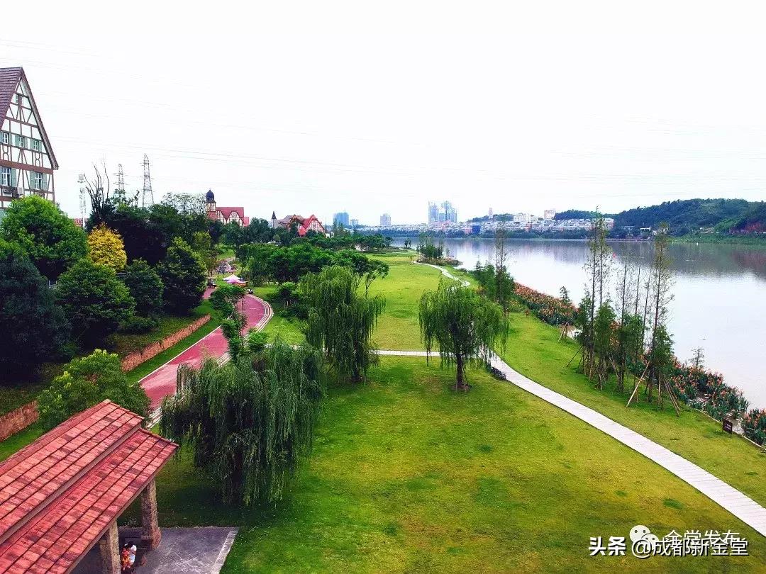 金堂人，你身边这条街已入选成都“最美街道”！