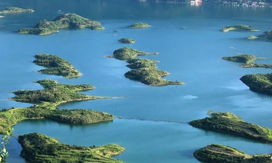 龙虾吃得最多的是哪个地方,全国小龙虾必吃50强