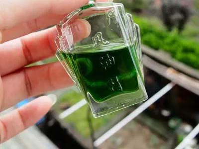 开车喝红牛提神已落伍,开车犯困喝咖啡有用吗