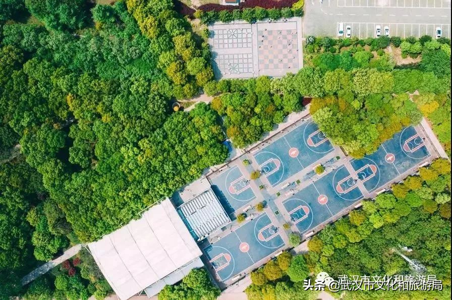 武汉环城绿道,武汉上半年全线贯通的新绿道