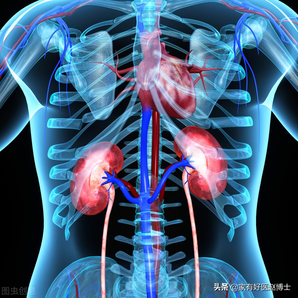 保肾的降糖药有哪种,最新出的降糖药护心保肾