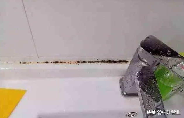 水管内有霉斑如何处理,水管里有绿色霉怎么去除