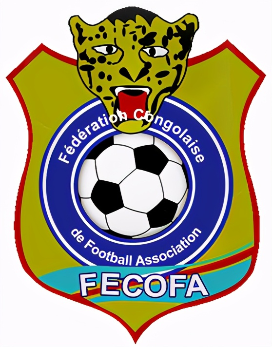 世界各足协标识(四):非洲