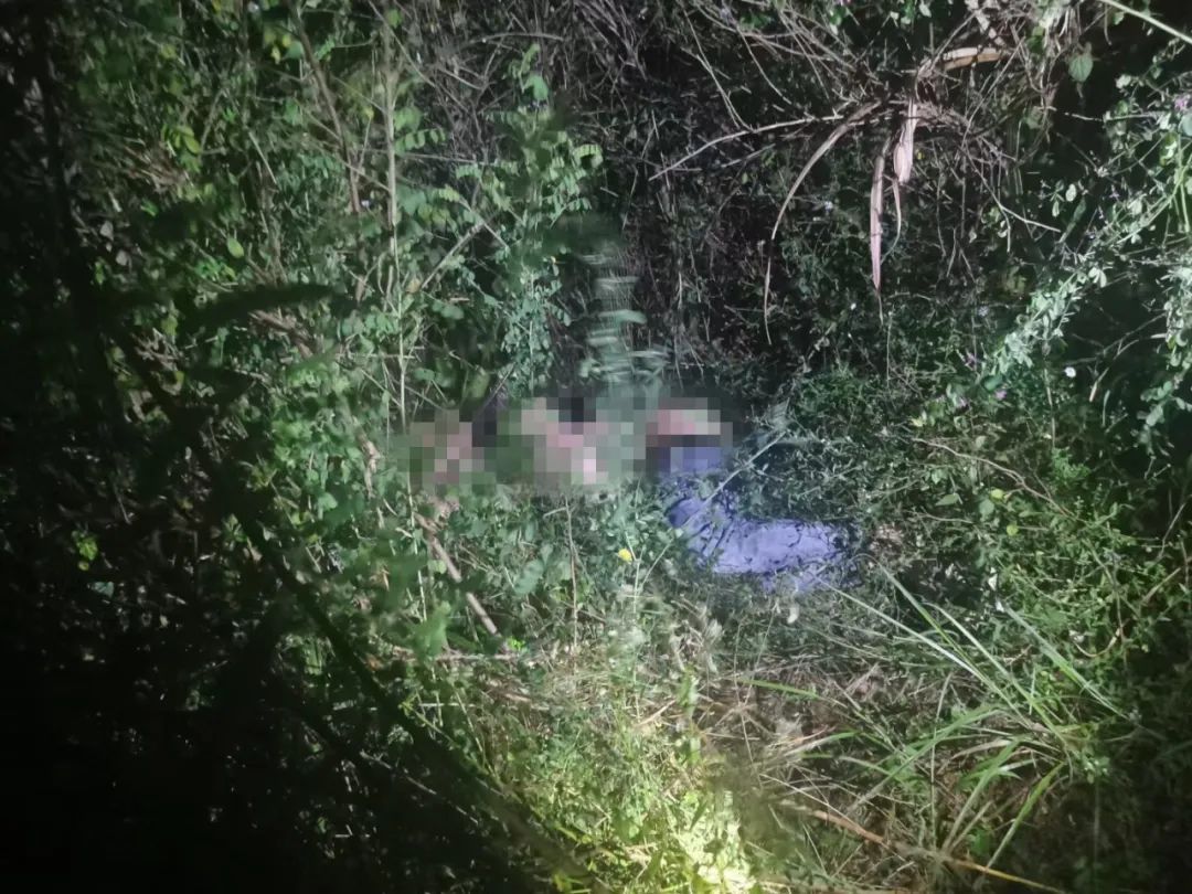 高速逆行、撞警车、喝农药,犯案后,男子亡命逃窜!桂林警方一路追捕到贵州,发现:嫌犯背后还有更大的秘密