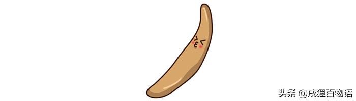 猫咪大便不正常怎么回事,猫咪屁屁老是有稀便便是怎么回事