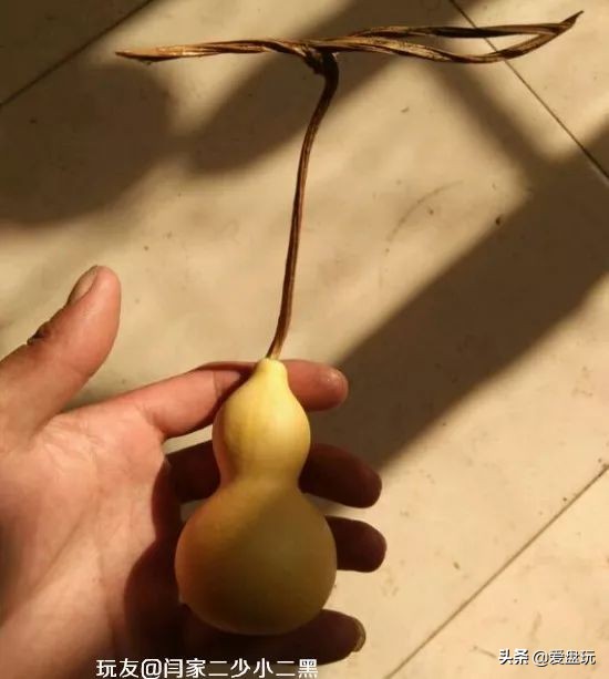 手捻葫芦龙头断了怎么办,文玩葫芦龙头断了还能玩吗