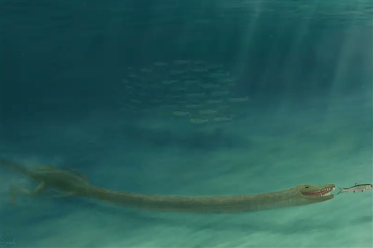 长颈龙为什么脖子那么长,长颈龙的演化过程