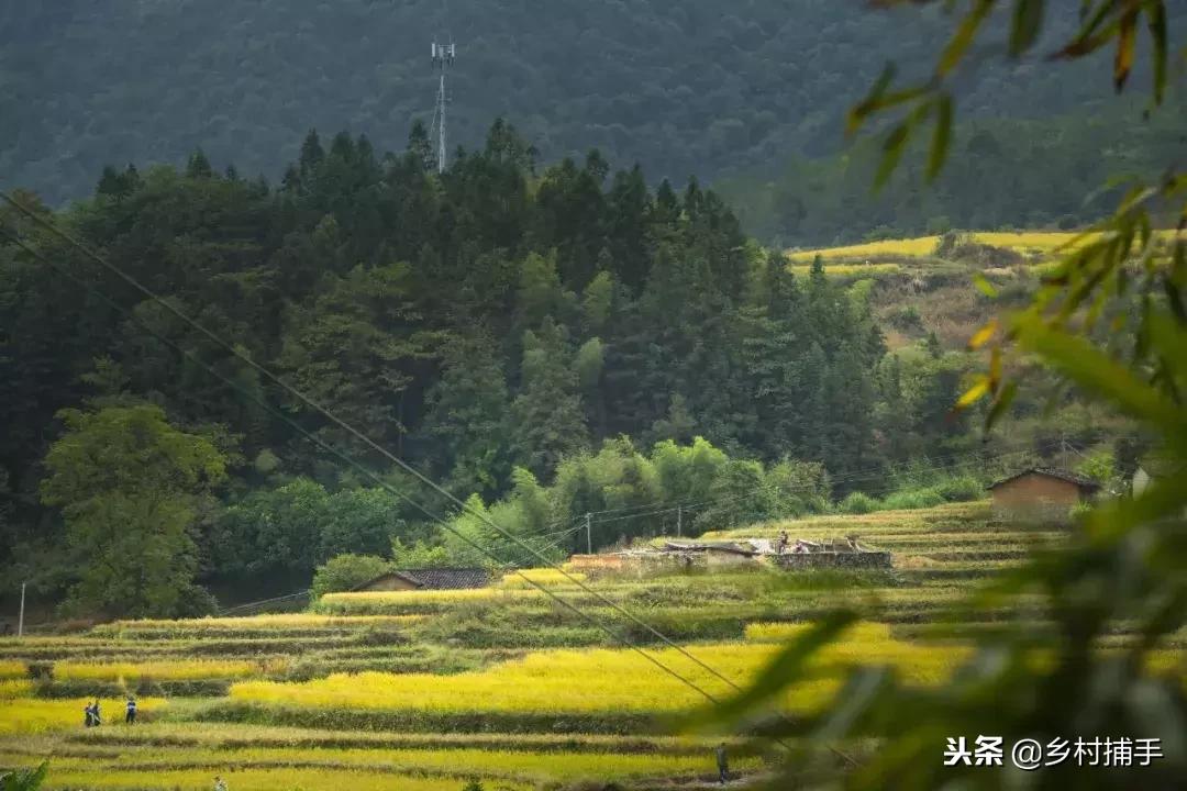 南粤古驿道拍摄后记,2018南粤古驿道展示