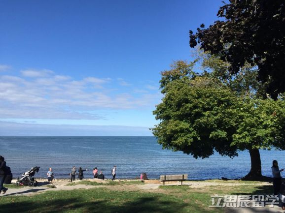 什么是spv项目,加拿大spp计划院校是哪些