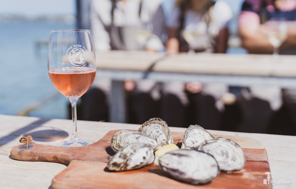 在南澳大利亚的艾尔半岛，Get黄教主同款生蚝农场之旅