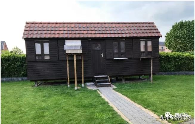 kbdb鸽王总冠军,kbdb鸽王每年评选多少个