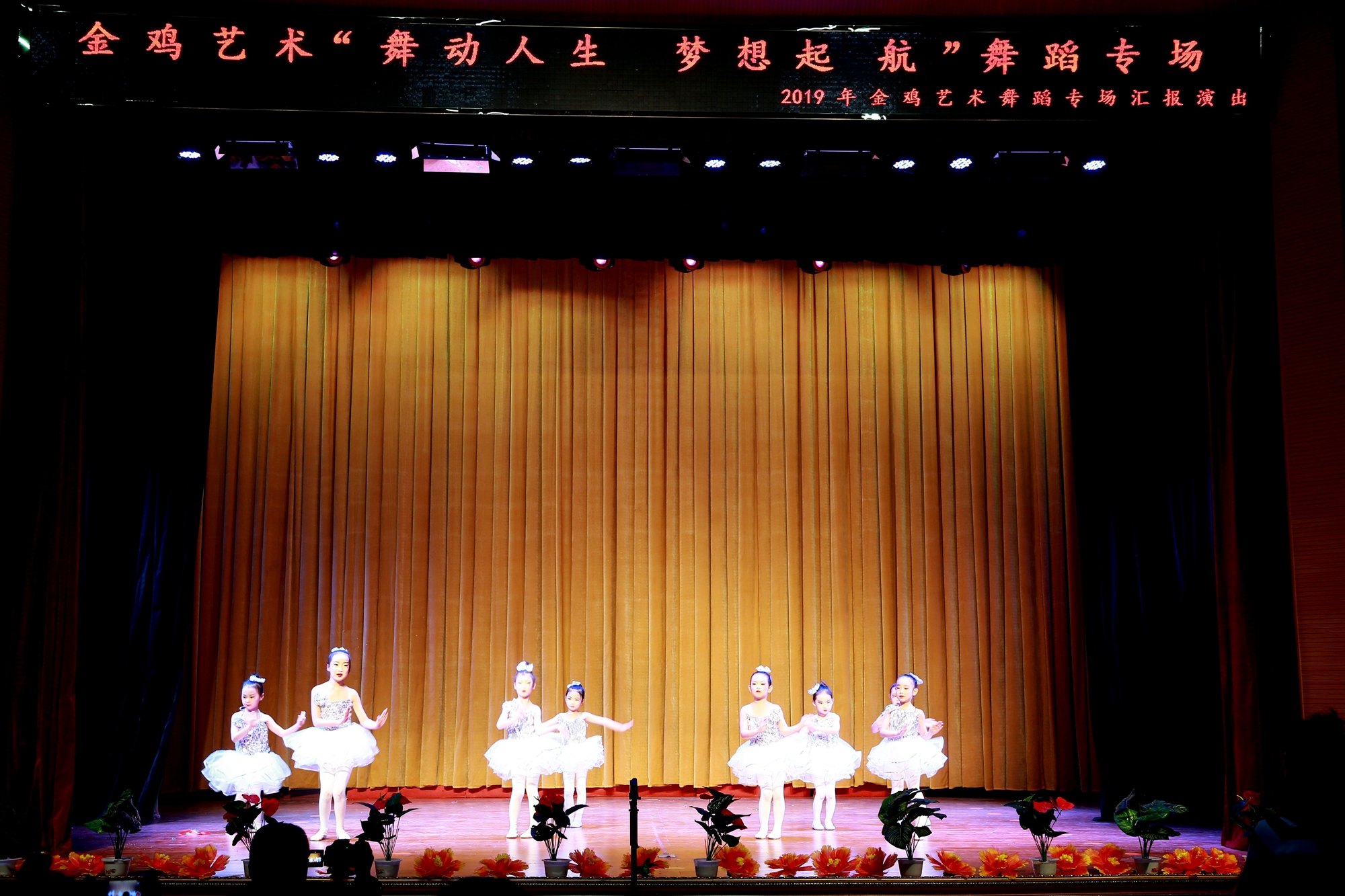 金鸡艺术《舞动人生梦想起航》专场晚会在青少年活动中心演出