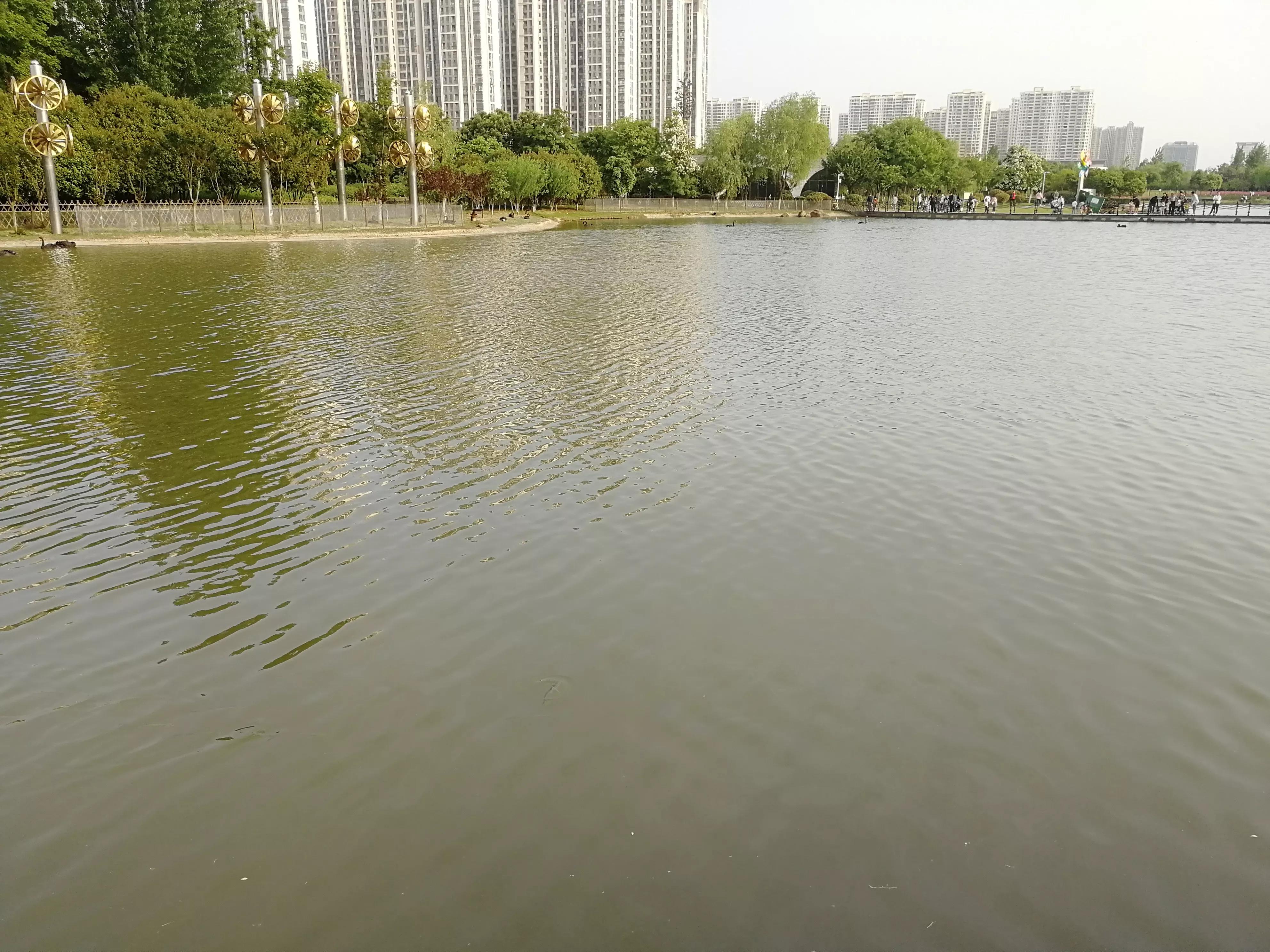 在身体还允许走动时，去看看小姨