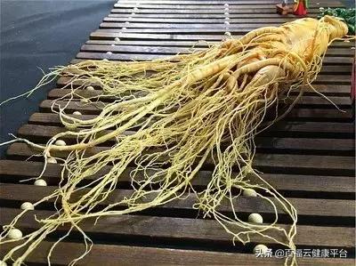 每周一药人参的功效,每天认识一味药人参