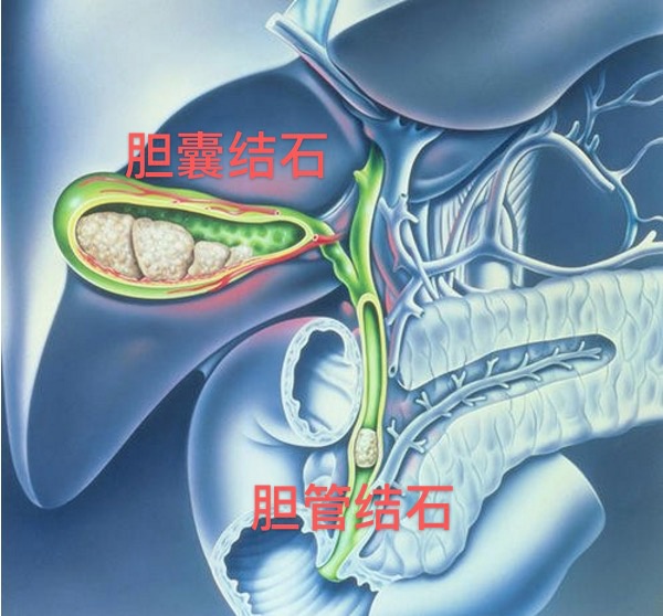 消化科微创手术,消化内科微创手术