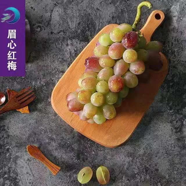 参展企业介绍,参展种业博览会的公司