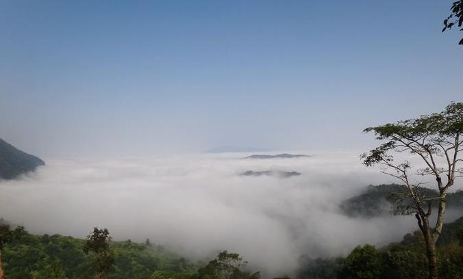 西双版纳的霾雾,西双版纳雾霾严重什么原因