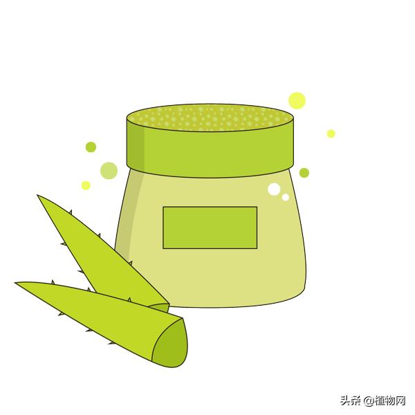 芦荟能直接抹在脸上美容吗,什么品种芦荟可以直接敷脸