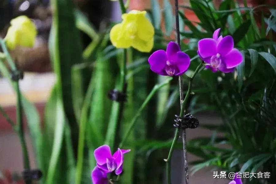 <html>
<head><title>502BadGateway</title></head>
<body>
<center><h1>502BadGateway</h1></center>
<hr><center>nginx</center>
</body>
</html>
<!--apaddingtodisableMSIEandChromefriendlyerrorpage-->
<!--apaddingtodisableMSIEandChromefriendlyerrorpage-->
<!--apaddingtodisableMSIEandChromefriendlyerrorpage-->
<!--apaddingtodisableMSIEandChromefriendlyerrorpage-->
<!--apaddingtodisableMSIEandChromefriendlyerrorpage-->
<!--apaddingtodisableMSIEandChromefriendlyerrorpage-->
