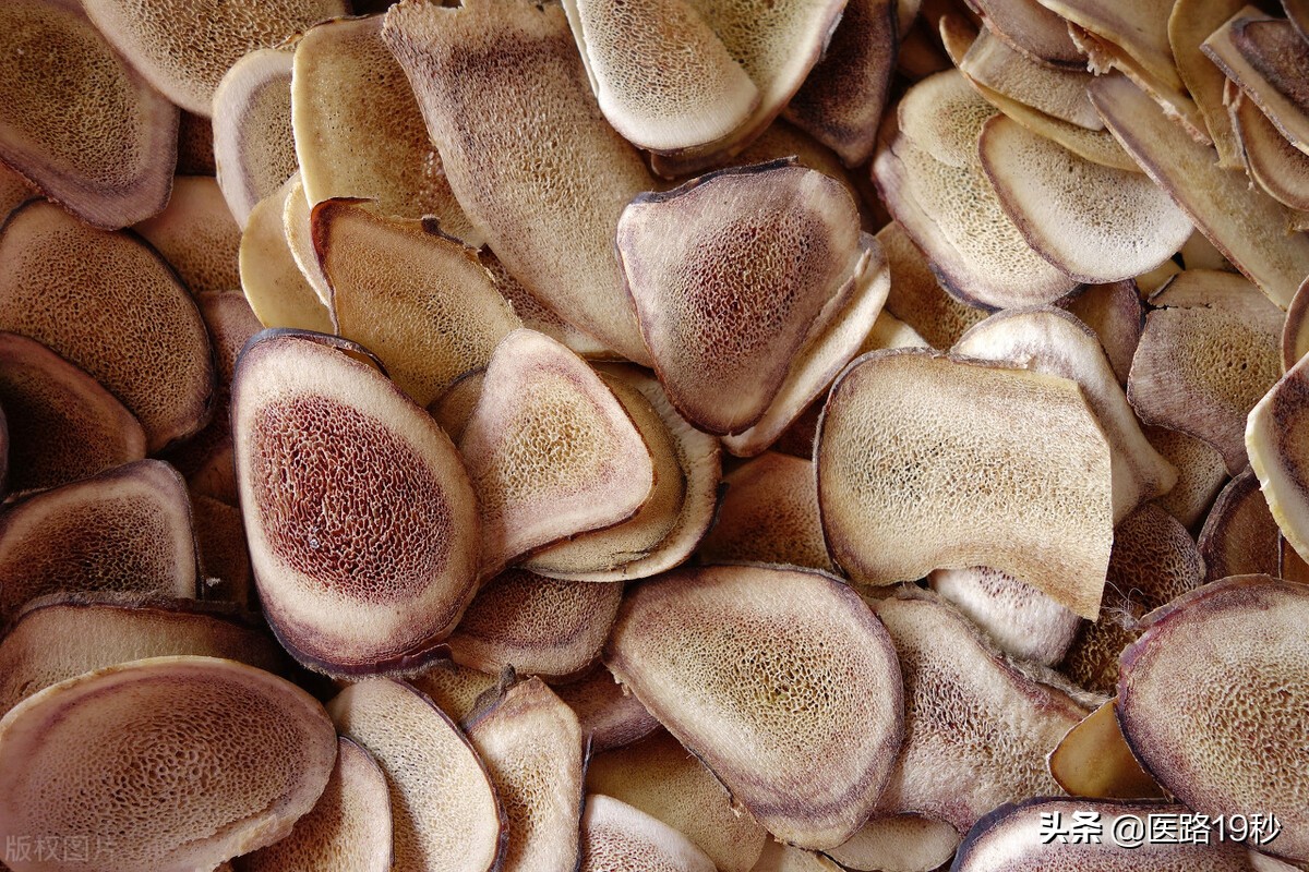 补肾效果最好的中药有哪几种,真正能补肾的中药有哪些