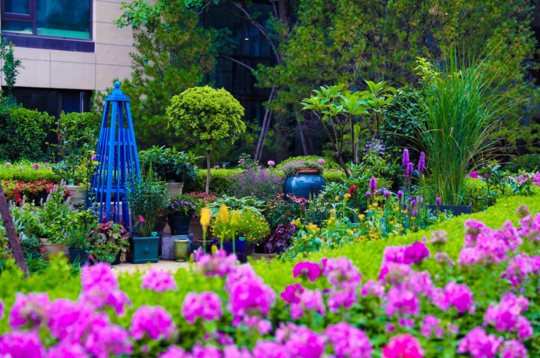 恭和家园美好生活发布会,恭和家园朗诵视频大全