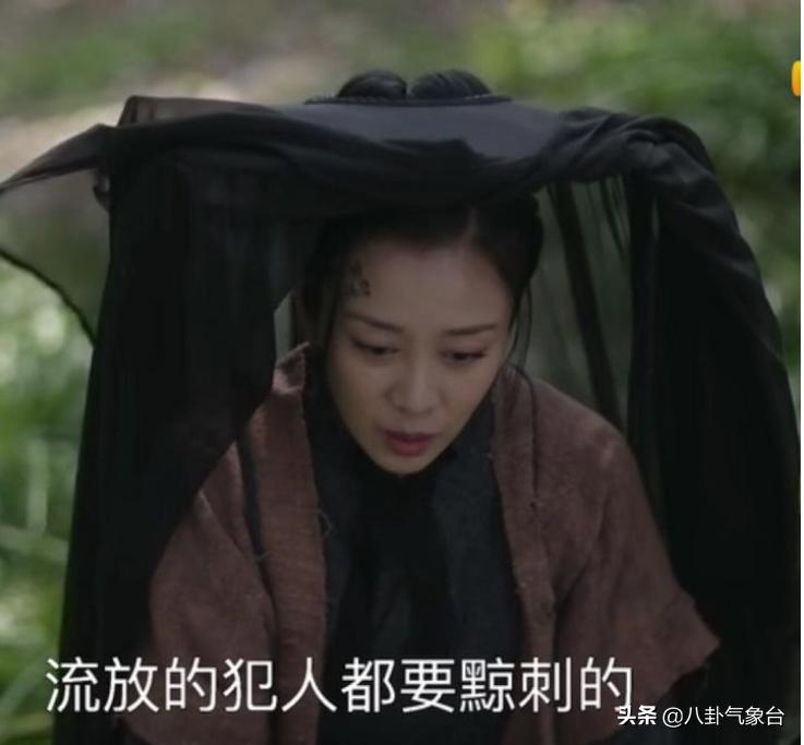 《知否》贺家姨母吃相固然难看，但不要忘了背后真正的推手