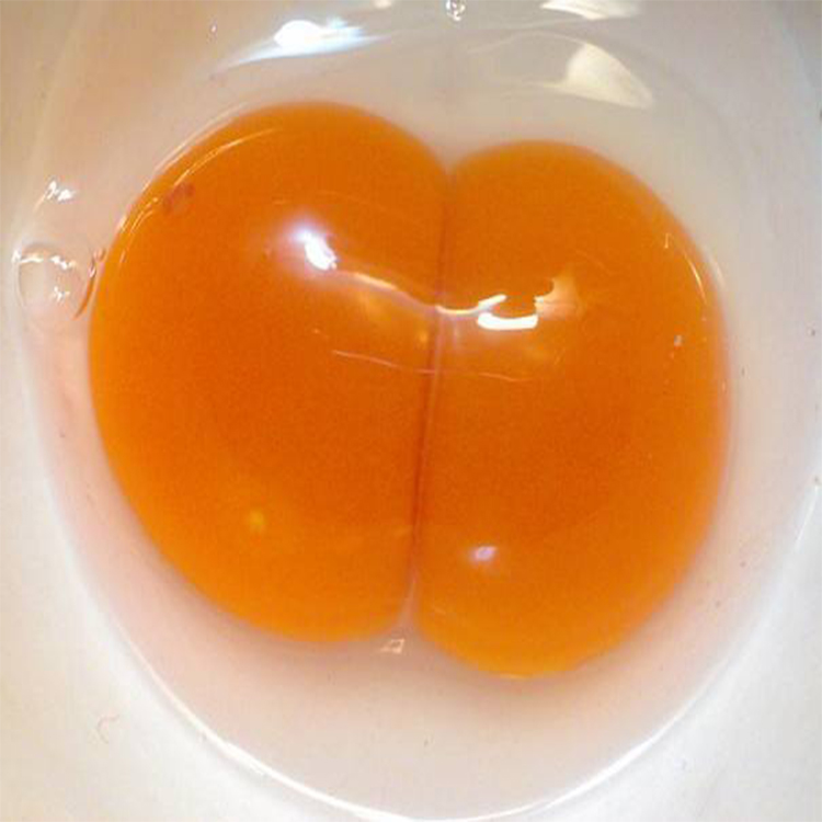 咸鸭蛋能做什么,食盐咸鸭蛋怎么做最快