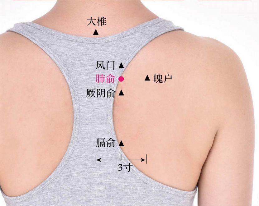 前胸后背疼痛吃什么中药,前胸痛按哪个穴