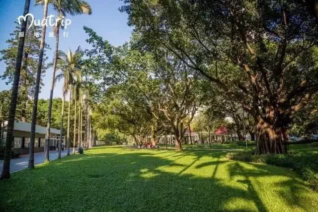 广州地铁直达的打卡地,广州地铁打卡好玩的地方