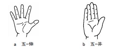 自然手语句子教学视频,自然手语教程